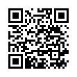 QR HERBA Fussbürste mit Bimsstein