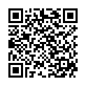 QR LAINO shampoing solide cheveux normaux