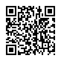 QR ALLOS Tee Sonnen Gold Kurkuma
