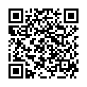 QR SONNENTOR Чай из листьев одуванчика ORGANIC