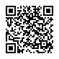 QR VOELKEL Shot Ingwer & Beeren demeter