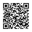 QR HÄNS GID Hydrogenii peroxidum 30 % PhEur