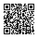 QR BORT Trend AG KKL2 III gesch ku bei Spitze