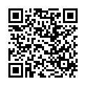 QR KENRICO Kräuterpflaster TRMX-5 DETOX