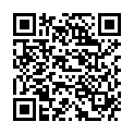 QR DRESDNER Winterwichtelstube