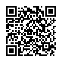 QR L'ACTION COSMETIQUE Haarfärbestift kastanienbraun