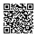 QR L'ACTION COSMETIQUE Haarfärbestift braun