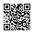 QR MASTER LIN Körpermassagebürste