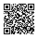 QR VEPOCHROM Entkalker-Schaum 360° Ersat (neu)