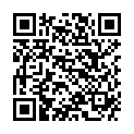 QR DAMASCENA Joy Aromavernebler